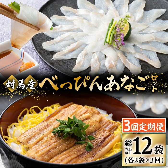 【ふるさと納税】【全3回定期便】対馬産 べっぴんあなご 詰め合わせ 《 対馬市 》【 桐谷商店 】 対馬 新鮮 ふわふわ 穴子 刺身 海産物 魚介 [WAQ004] 46000 46000円