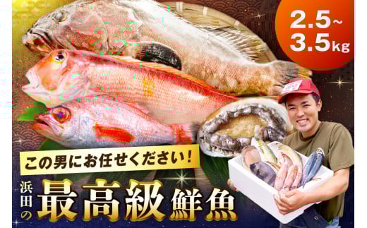どんちっち浜田【輝き】鮮魚～最高級この男シリーズ～【006_2015】
