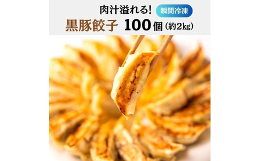 
                  【瞬間冷凍】肉汁溢れる 黒豚餃子 100個（2kg）[№5385-1229]
                