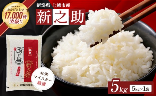 
                  【1月中旬配送】令和8年（新米） 新潟県上越市産 新之助 5kg 無洗米 しんのすけ お米 精米 米 ご飯 五つ星お米マイスター 大黒屋商店
                