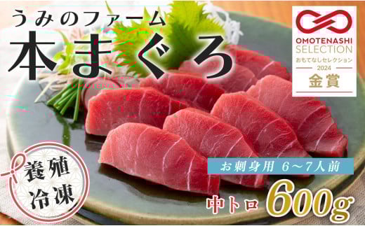 【12/23までの寄附で年内発送】 マグロ まぐろ 本マグロ 刺身 中トロ 600g うみのファーム 養殖 本まぐろ さしみ 刺し身 ネギトロ ねぎとろ 漬け丼 海鮮丼 まぐろたたき 海鮮セット 柵 年末 年始 正月 高知県 大月町