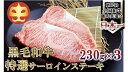 【ふるさと納税】【うしの中山】 鹿児島県産「鹿児島黒牛」A5ランク特選サーロインステーキ690g（230g×3）【日付指定不可】