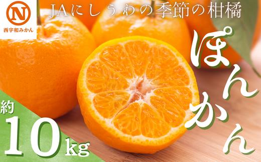 
            JAにしうわの季節の柑橘(ポンカン 約10kg)＜F08-5＞【1474210】
          