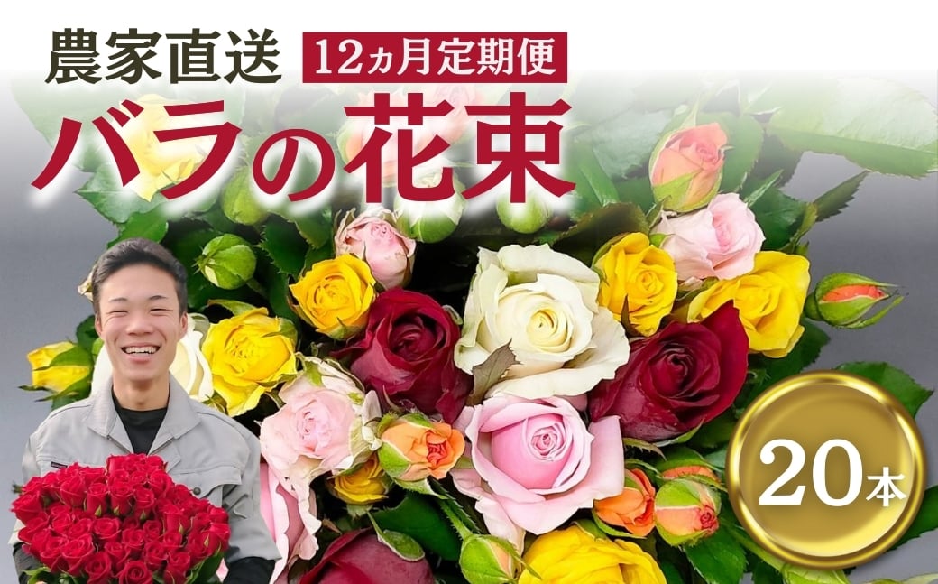 
            バラ 花束 20本 定期便 12カ月コース
          