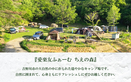 キャンプ場 利用券 10000円分 | 徳島県 吉野川市