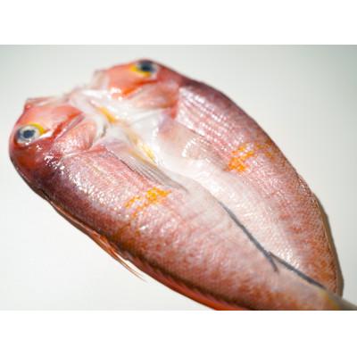 ふるさと納税 大田市 「一日漁」甘鯛一夜干　1尾(約300g)　(A194) |  | 02