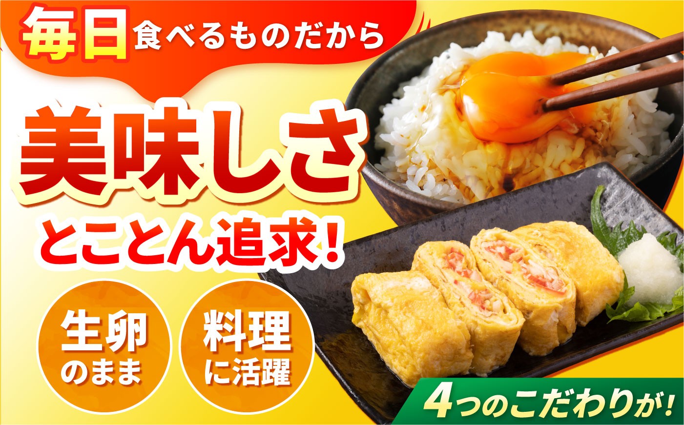 長崎県産 島原市 たまご 卵 玉子 タマゴ 鶏卵 オムレツ 卵かけご飯 朝食 料理 人気 卵焼き 定期便 6ヶ月 6か月