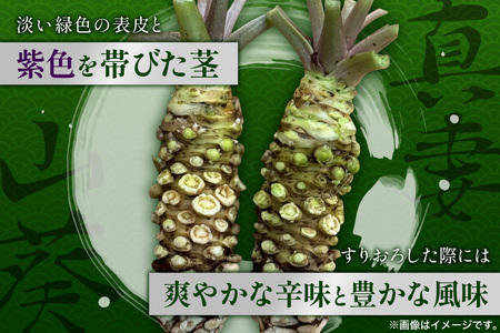 那賀わさび (真妻) 約200g 2～4本【徳島県 那賀町 生産者直送 産地直送 本わさび わさび ワサビ 生わさび 山葵 野菜 香味野菜 国産 真妻 薬味 調味料 万能 新鮮】FN-07
