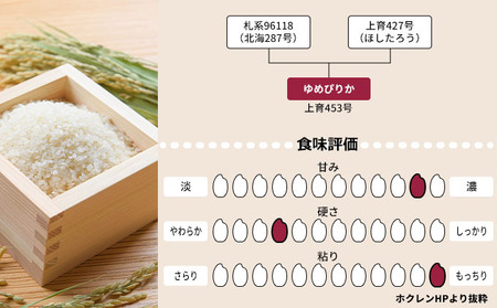 特別栽培米 北海道産 ゆめぴりか【10kg(5kg×2袋)】【定期便6回】