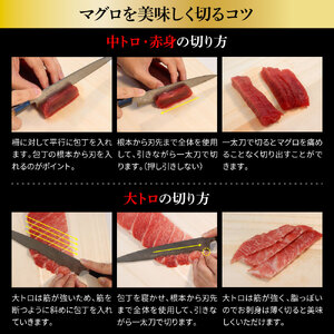 本マグロ 大 中トロ 赤身 200g セット | 土佐市 本マグロ BQAA039