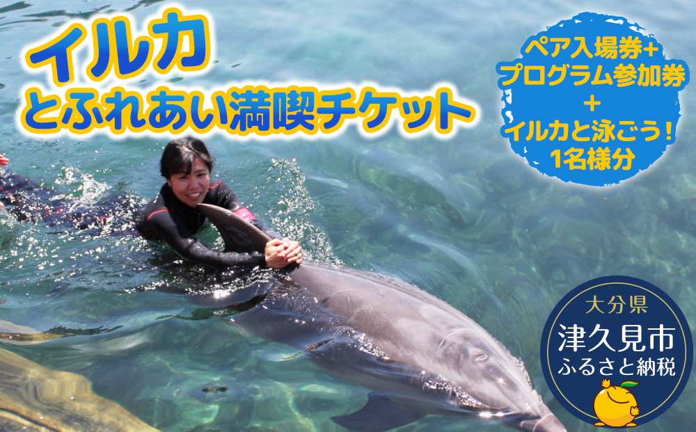 イルカと泳ごう！シングル（イルカとふれあい体験チケット）体験チケット レジャーチケット アクティビティ 動物ふれあい 大分県産 九州産 津久見市 熨斗対応【tsu001204】