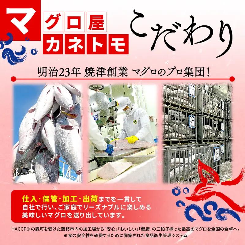 本まぐろ 中トロ 訳あり 約400g まぐろ【ge014】