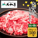 【ふるさと納税】(冷凍) 大和牛 切り落とし 500g ／ 金井畜産 アウトドア バーベキュー キャンプ 父の日 奈良県 宇陀市 お中元 贈答用 贈り物 暑中見舞い お土産