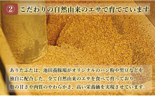 【人気！豚肉5種セット】ありたぶた バラエティBセット (豚