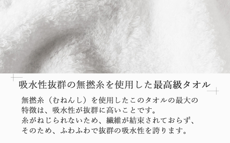 【今治タオル】高品質フェイスタオル ２枚 ギフトセット TOKIMEKIシリーズ （ホワイト） 【タオル専科 ５SECONDS TOWEL】