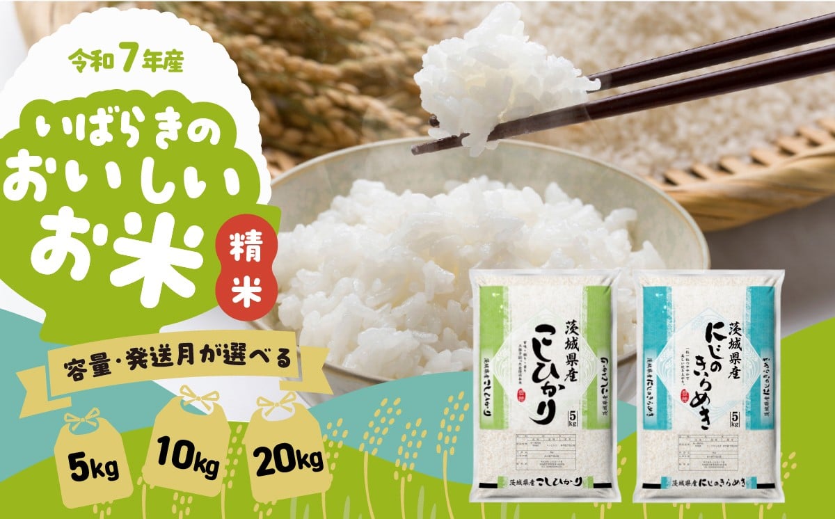 
            【選べる容量・発送月】9000円/5kg～ 令和7年産米 コシヒカリ にじのきらめき 食べ比べ 5kg 10kg 20kg 令和7年産 茨城県産 白米 精米 茨城県 お米 米 定期便 9000円 10000円 1万円
          