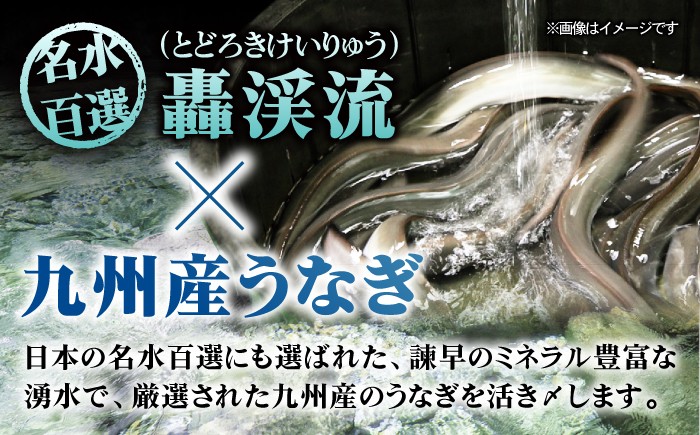 国産 うなぎ 鰻 ウナギ 蒲焼 うなぎ 蒲焼き うなぎ うなぎ ウナギ 定期便 鰻 うなぎ ウナギ 鰻 人気 unagi 冷凍