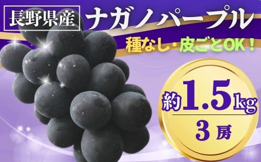 【2026年先行予約】ぶどう ナガノパープル 約1.5kg(3房)｜ 果物 フルーツ 黒ぶどう 葡萄 ブドウ 種無し 種なし 皮ごと 千曲市 長野県 信州