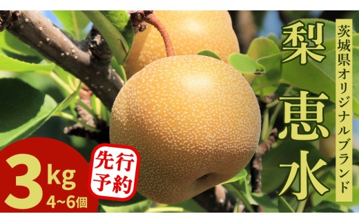 ＜農家直送＞梨 茨城県オリジナルブランド品種 恵水 大玉サイズ4～6個(約3kg)  先行予約 2026年発送 完熟 フルーツ 果物 産地直送 糖度 高い 梨 茨城 人気 (BB004)
