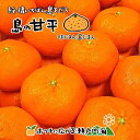 【ふるさと納税】 【2月中旬から発送】 甘平 ( かんぺい ) 約3kg 家庭用 愛媛 中島産 | 愛媛 みかん 先行予約 蜜柑 柑橘 果物 くだもの フルーツ お取り寄せ グルメ 期間限定 数量限定 人気 おすすめ 愛媛県 松山市