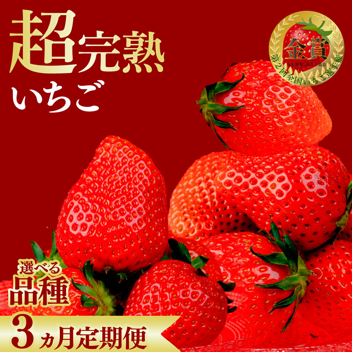 【ふるさと納税】＜3回定期便＞いちご 鈴木ファームの完熟＆朝摘み やよいひめ or とちあいか | いちご イチゴ 苺 やよいひめ スカイベリー 2026年 1月 2月 3月 完熟 果物 フルーツ 4パック くだもの 旬 産地直送 栃木県産 鈴木いちご園 栃木県 茂木町