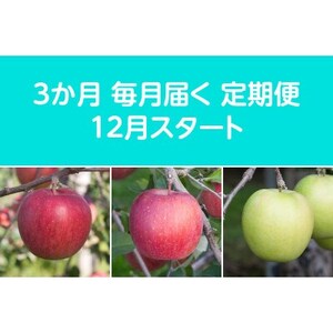【発送月固定定期便】〈2025年12月より順次発送〉甘味系・青森県産りんご約3kg全3回【配送不可地域：離島・沖縄県】【4068087】