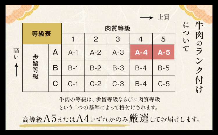 黒毛和牛 A4～A5等級 選べる 霜降り 赤身 すき焼き しゃぶしゃぶ 極上 スライス  600g 数量限定 先行予約 牛肉 冷凍 くまもと黒毛和牛 《7-14日以内に出荷予定(土日祝除く)》 冷凍庫