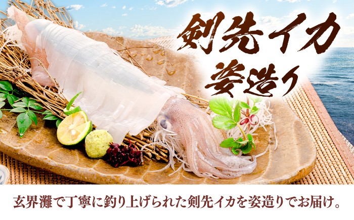 剣先イカ 姿造りを呼子CASセンターから直送！