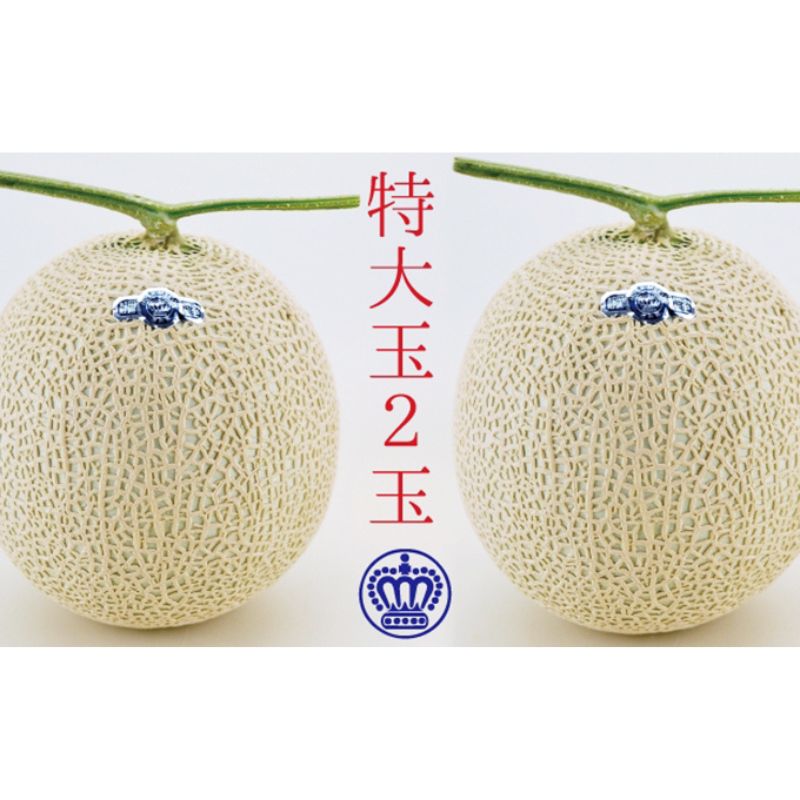 【ふるさと納税】クラウンメロン 白等級 特大玉 2玉入 果物類 メロン青肉 静岡県袋井市産 糖度13度以上 ギフト 贈答　お届け：◆返礼品到着後、すぐに状態をご確認ください◆
