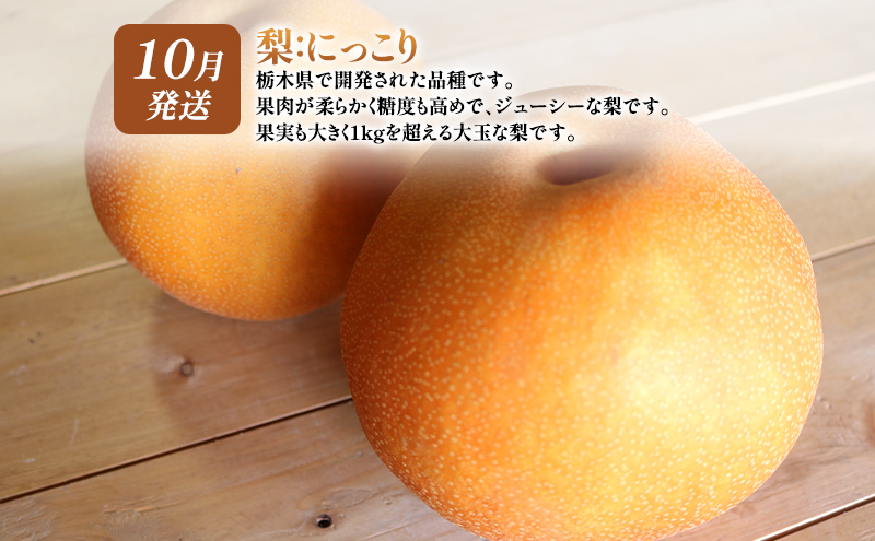 【 定期便 2回 】 大玉な梨 にっこり 2玉 約2kg と いちご市 鹿沼の 美味しい 「い」「ち」「ご」 とちあいか 15粒入り260g 2パック のフルーツ 定期便【発送予定】 10月 1月 梨