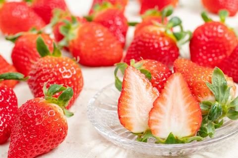 ※廃番※CE178 長崎県知事賞受賞【厳選いちご】「ゆめのか（2L～3L）」260g×4パック＜1～4月にお届け＞