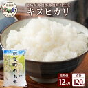 【ふるさと納税】【お米の定期便12回】那賀町のお米 キヌヒカリ 10kg×12回 計120kg【徳島県 那賀町 相生 国産 白米 精米 キヌヒカリ 10kg 10キロ 120kg 120キロ 産地直送】YS-20