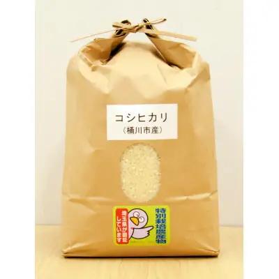 和菓子 べに花の郷セット (銘菓 計14個 / コシヒカリ 精米 5kg / べに花染めスカーフ 1枚)