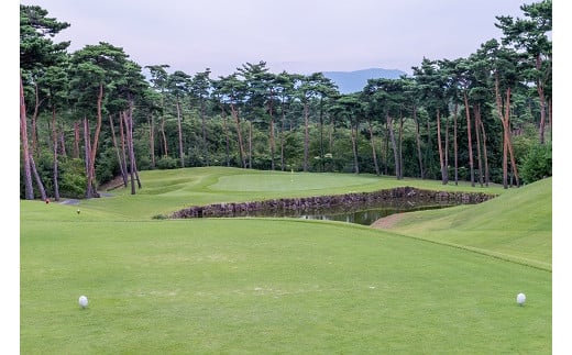 ゴルフ場 新発田市 利用券 3,000円分 (1,000円×3枚) 感謝券 ゴルフ チケット 新潟 市内 利用 可 ゴルフ場利用券 プレー券 施設利用券 ごるふ golf 北陸 温泉 旅行 旅行券 宿