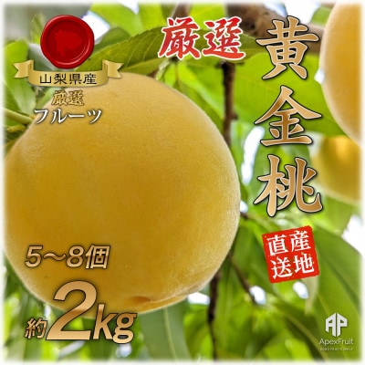 【2026年発送】山梨市産　黄金桃　約2kg(5～8玉)【配送不可地域：離島】