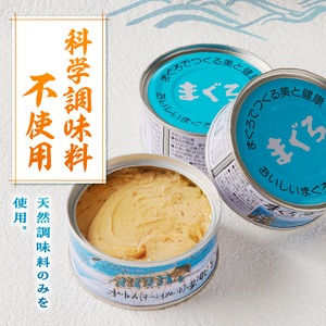 焼津漁協オリジナルツナ缶詰（まぐろ油漬け）48缶入 (a43-008)