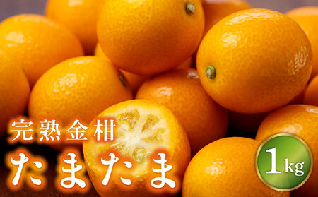 KU431 【先行予約】串間市産 完熟金柑「たまたま」1kg