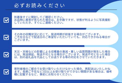 【2025年夏季出荷 先行受付開始！】 完熟中城美ら島マンゴー（優品） 約1kg　沖縄特産品マンゴー 人気マンゴー 絶品マンゴー 完熟マンゴー アップルマンゴー 贈答 贈り物 ギフト 季節限定 中城村
