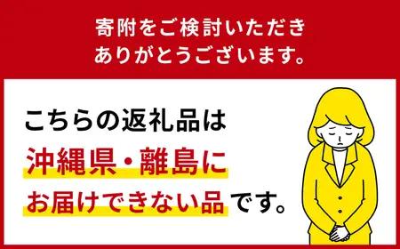 カール事務器 ペン立て ツールスタンド・カスタム スリム アイボリー TS-011-I ns097-005-3