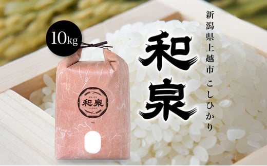 【先行予約　10月中旬より順次出荷】令和7年産　上越産こしひかり『和泉』10kg 上越市 精米 米 ギフト 喜ばれる