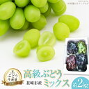 【ふるさと納税】【2025年発送】 高級ぶどうミックス（シャイン入り） 約2kg [フルーツランド平賀 山梨県 韮崎市 20742832] ぶどう ブドウ 葡萄 マスカット 種なし 果物 フルーツ 2キロ 山梨県産 産地直送 期間限定 季節限定 冷蔵