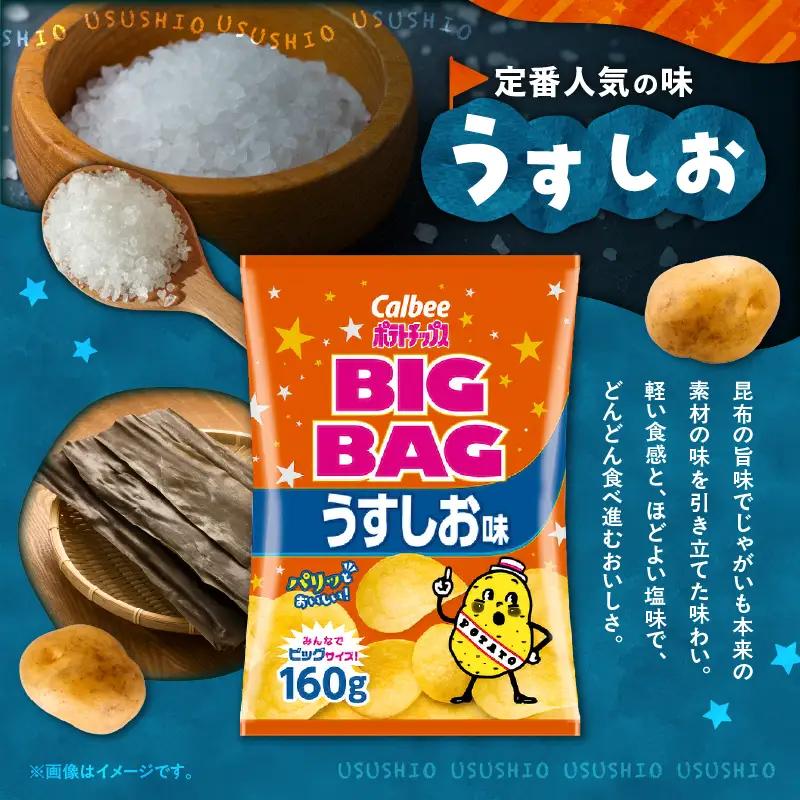 カルビー ポテトチップス BIGBAG【うすしお】12袋 K194-002_04 菓子