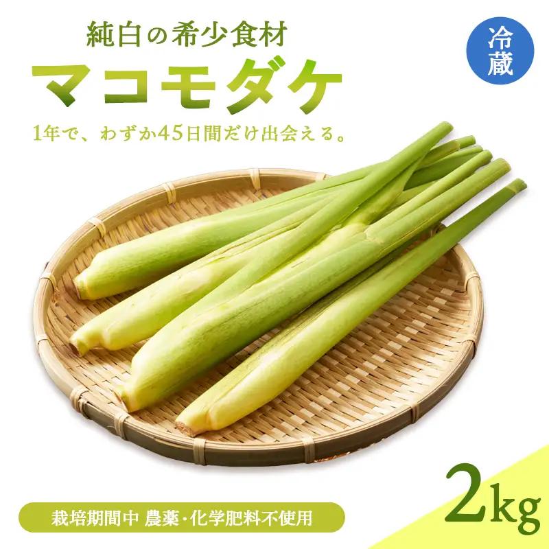 マコモダケ 2kg | 栽培期間中農薬不使用