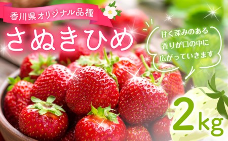 香川県オリジナル品種 さぬきひめ約2kg（1月以降発送）_M02-0028