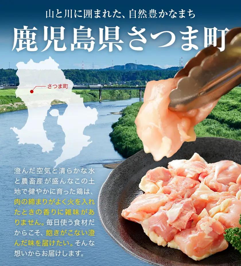 【12ヶ月定期便】 鹿児島県産 鶏肉 もも肉 2kg