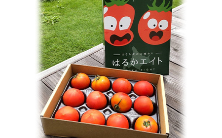 【先行予約】令和8年産 10～15玉前後 糖度8.0度以上 北はるか産フルーツトマト はるかエイト 1箱 フルーツ トマト グルメ 故郷 ふるさと 納税 国産 北海道産 北海道 下川町 F4G-034