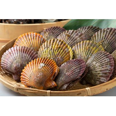 ふるさと納税 対馬市 対馬の2枚貝ヒオウギ貝