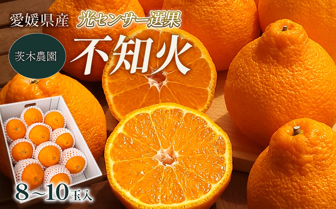 
                  茨木農園の不知火 8～10玉入 （2Lサイズ前後） 愛媛県産 柑橘 しらぬい 不知火 【2026年4月中旬～5月中旬まで順次発送】 みかん ミカン 蜜柑 えひめ みかん 不知火 デコポン と同品種 でこぽん 完熟 柑橘 国産 愛媛県 西条市 こだわり 有機栽培 産地直送 
                
