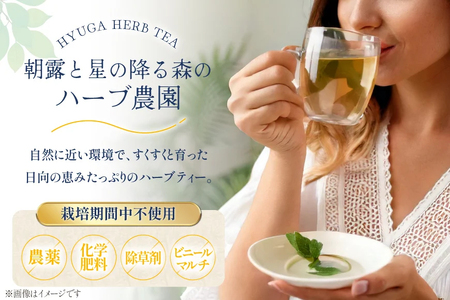 ハーブティー レモングラス 7g 1袋 [Agua de Hierba 宮崎県 日向市 452061661]