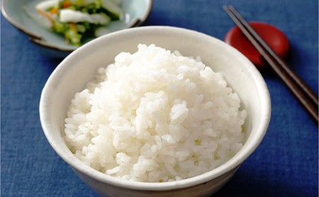 ヒノヒカリ 令和7年産 白米 2等米 ヒノヒカリ【8kg】